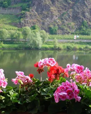 Haus Mosella Apartment Cochem Room photo